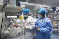 玉女掌門人楊采妮誕下雙胞胎，公布懷孕5月照絕絕子