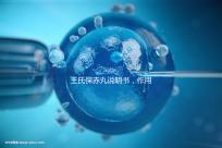 王氏保赤丸說明書，作用功效、用法用量全都有！