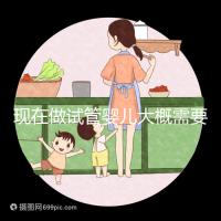 現在做試管嬰兒大概需要多少錢?