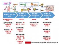 睪丸穿刺術(shù)或顯微取精術(shù)，為無精子癥帶來生育希望
