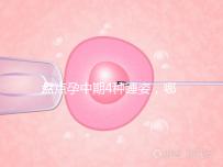 盤點孕中期4種睡姿，哪一種正確又健康？