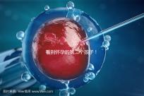 看到懷孕的第二個孩子！2024年廣州試管嬰兒費(fèi)用清單