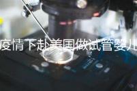 疫情下赴美國做試管嬰兒不安全，可提前做好準備工作