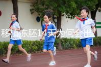 移植凍胚14天為何會出血?具體原因與處理方法一看便知