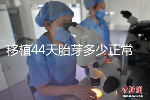 移植44天胎芽多少正常？胎芽長(zhǎng)度和孕周對(duì)照表一覽