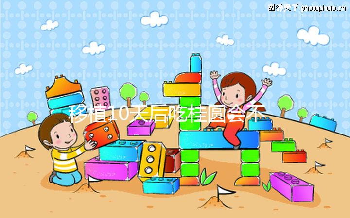 移植10天后吃桂圓會不會不著床分人,過量食用或有影響