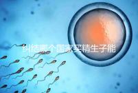 糾結哪個國家買精生子能看照片快收藏！血型、身高可了解