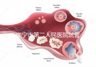 南寧市第二人民醫(yī)院試管成功率不低有前提,選對(duì)醫(yī)生更好孕