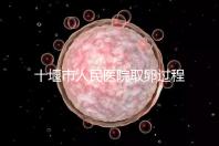 十堰市人民醫院取卵過程詳解，三種情況可全身麻醉