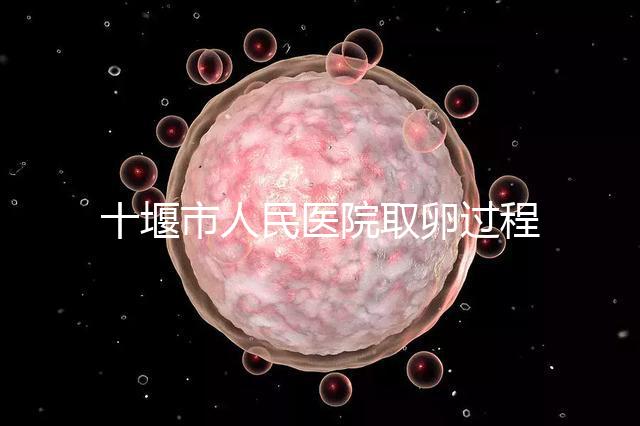 十堰市人民醫院取卵過程詳解,三種情況可全身麻醉