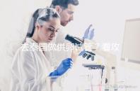 去泰國做供卵試管？看攻略提前了解具體流程和費用