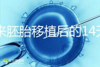 原來胚胎移植后的14天,這些信號預(yù)示著床成功