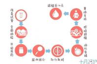 兒童牙膏十大國產(chǎn)產(chǎn)品公布,2024年哪些品牌看這個