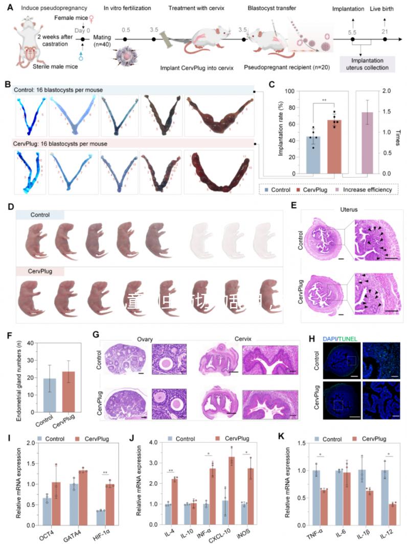 兒童蛔蟲藥切勿亂用，這樣吃才是正確的打開方式