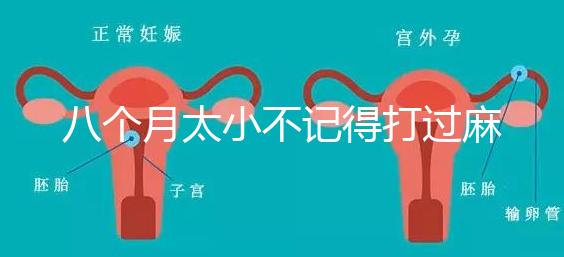 八個(gè)月太小不記得打過(guò)麻風(fēng)疫苗看這,2大反應(yīng)教你辨別