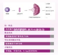 做試管嬰兒男方也要備孕？提升精子質量“四素一葷”不能少！