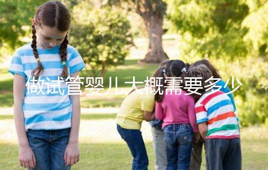 做試管嬰兒大概需要多少錢？