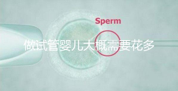 做試管嬰兒大概需要花多少錢