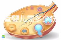 做試管嬰兒需多少錢 做試管...@夏子軒健康講堂的動態