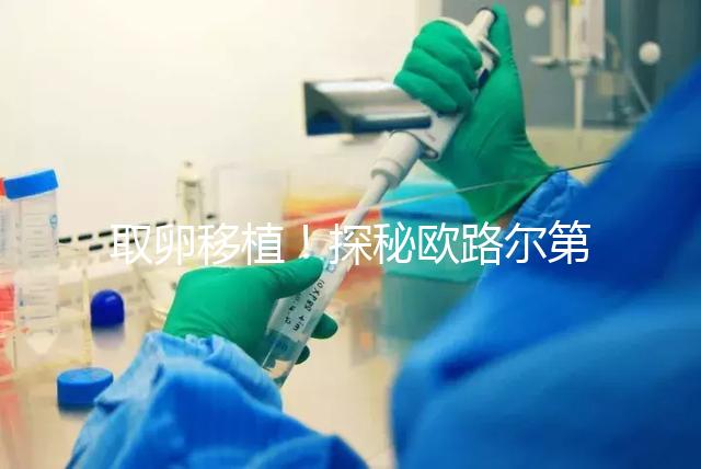 取卵移植！探秘歐路爾第三代試管嬰兒的流程