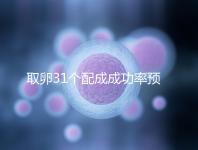 取卵31個(gè)配成成功率預(yù)測(cè),鮮胚個(gè)數(shù)在這個(gè)范圍都有希望