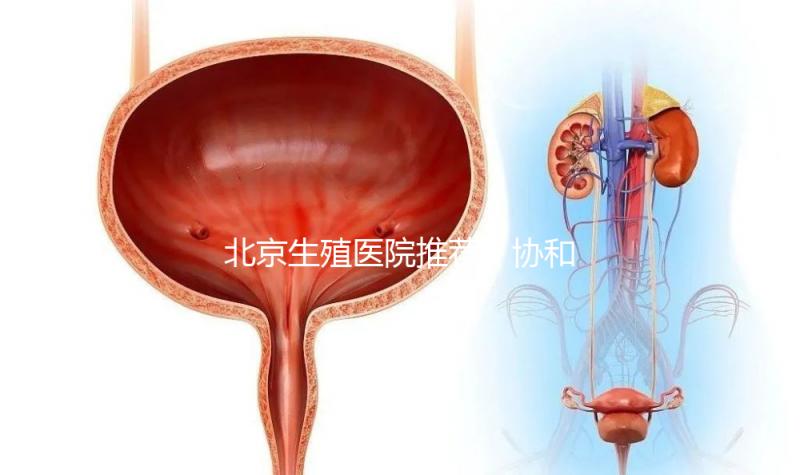 北京生殖醫(yī)院推薦!協和、北醫(yī)三院等三甲醫(yī)院介紹