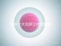 北京十大無卵三代試管醫(yī)院排名？附詳細(xì)試管條件