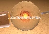 北京試管哪家醫(yī)院好看這，303醫(yī)院、北醫(yī)三院值得推薦