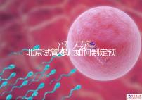 北京試管嬰兒如何制定預(yù)算，費用解析必看