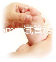 內膜16mm試管移植能否著床速覽,可否移植看身體情況