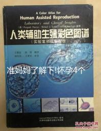 準(zhǔn)媽媽了解下!懷孕4個(gè)月掌握正確睡姿助你做好夢(mèng)