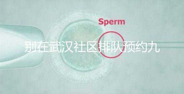 別在武漢社區排隊預約九價hpv疫苗了，在官方微信上也能搞定