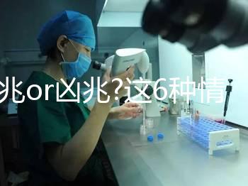 吉兆o(hù)r兇兆?這6種情形下的孕婦夢(mèng)見黃鼠狼寓意各不同