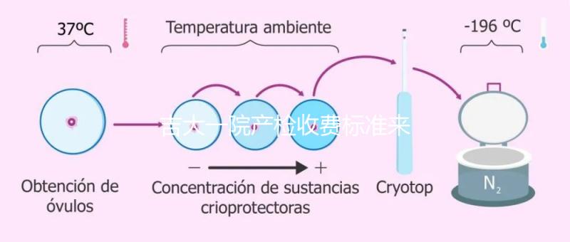 吉大一院產(chǎn)檢收費(fèi)標(biāo)準(zhǔn)來(lái)了!免費(fèi)項(xiàng)目和報(bào)銷比例一文說(shuō)明