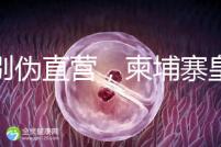 告別偽直營，柬埔寨皇家生殖遺傳醫(yī)院RFG中國辦事處指南