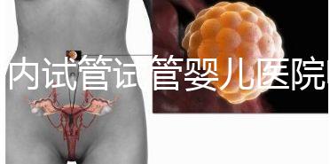 國內試管試管嬰兒醫(yī)院哪家強?附排名前十試管嬰兒醫(yī)院名單!