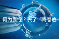 何為囊泡？長了“青春痘”的會影響試管嬰兒成功率嗎？