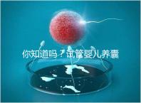 你知道嗎?試管嬰兒養(yǎng)囊的過程比“高考”更殘酷