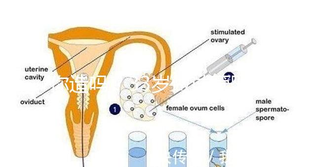 你造嗎？33歲做試管嬰兒成功率高不高要看這些報告