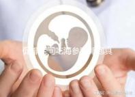 促排期間吃海參對卵泡真管用，不想取卵空泡找上門快做攻略