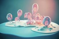 人工還是自然懷孕?張雨綺龍鳳胎惹爭(zhēng)議