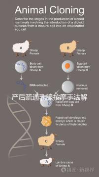 產(chǎn)后疏通乳腺按摩手法解密，不用吸奶器輕松搞定堵奶、奶結(jié)