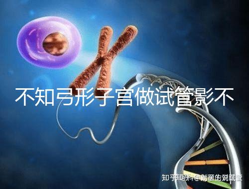 不知弓形子宮做試管影不影響移植速覽,有多危險(xiǎn)趁早了解