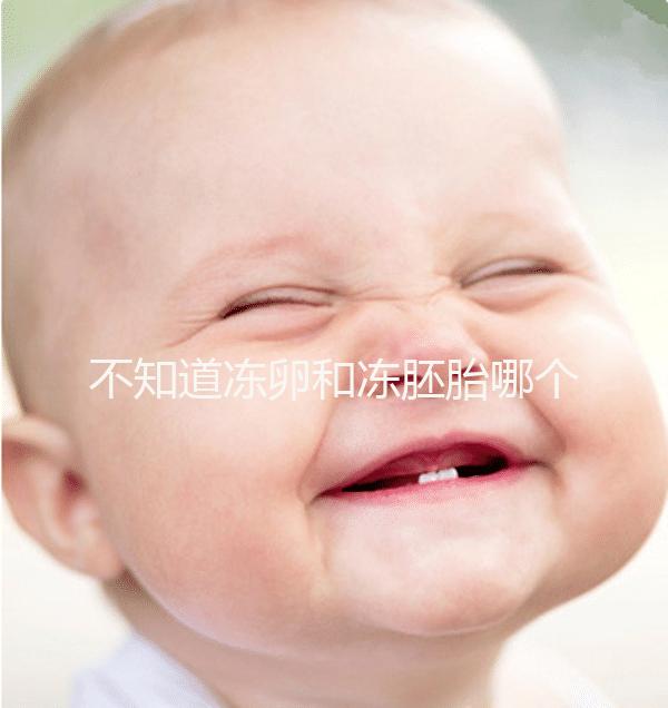 不知道凍卵和凍胚胎哪個成功率高?這篇告訴你區別所在