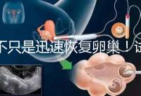 不只是迅速恢復卵巢!試管取卵后吃蘿卜的3大好處匯總