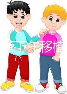 不懂試管下午移植上午要不要請假速覽，何時開始一看便知