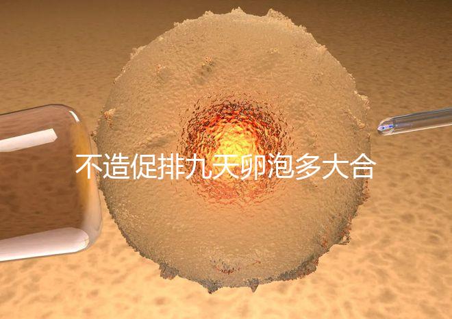 不造促排九天卵泡多大合適的瞧，卵巢功能好卵子10還能長