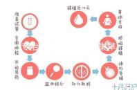 專治停經、絕經、卵巢早衰？利維愛的作用與適應癥分析