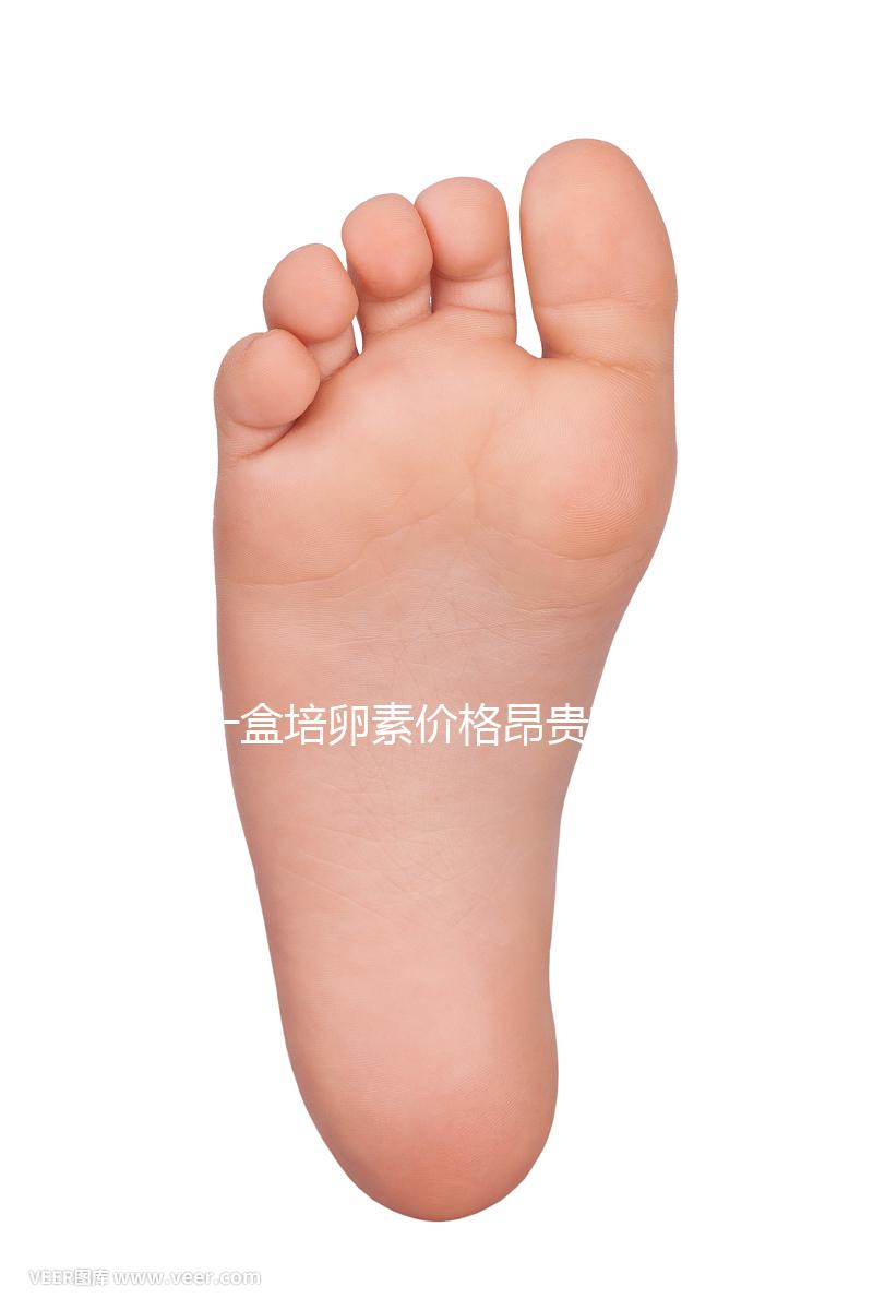 一盒培卵素價格昂貴有原因，避免假貨請選擇正規渠道