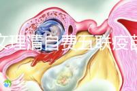 一文理清自費(fèi)五聯(lián)疫苗接種必要性，新生兒打有這些好處